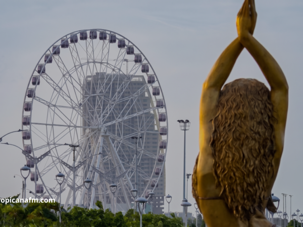 Barranquilla / Atlántico